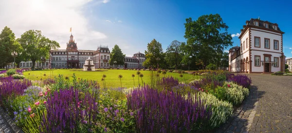 Färgglada Blommor Staden Hanau Tyskland — Stockfoto