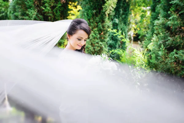 Beautiful Young Bride Flying Veil Bridal Bouquet — Stock Photo, Image