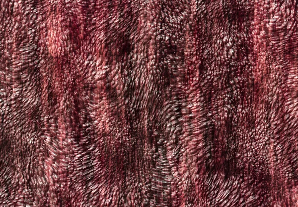 Tekstur Lukisan Digital Abstrak Tekstur Art Fractal Plugin Tempelasi Web — Stok Foto