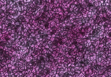 Soyut dijital resim dokusu. eklenti art.fraktal doku, web şablonu, soyut arkaplan, grunge dokusu, geometrik tasarım