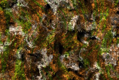 Soyut dijital resim dokusu. plugin art.fraktal doku, web tempelate, soyut arkaplan, grunge doku, geometrik tasarım, suluboya boya, soyut arkaplan, soyut doku, doku tasarımı