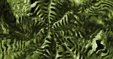 Soyut renkli animasyon. Çok renkli sıvı arkaplan. Güzel eğimli doku, soyut çok renkli arkaplan, Hareket grafiği