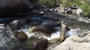 şelale ve nehir bir parkta akış 