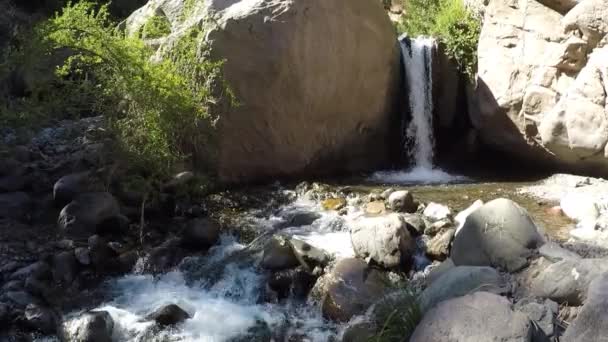 Cascada Caudal Del Río Parque — Vídeos de Stock