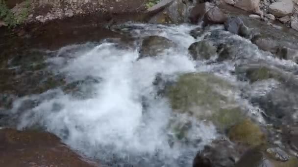 Chute Eau Débit Fluvial Dans Parc — Video