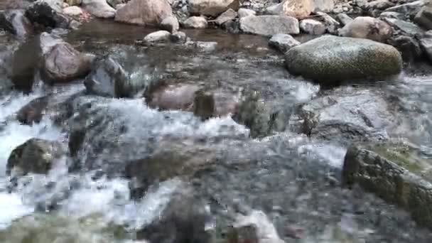 Chute Eau Débit Fluvial Dans Parc — Video