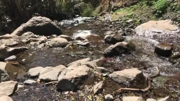 Καταρράκτη Και Ποτάμια Ροή Ένα Πάρκο — Αρχείο Βίντεο