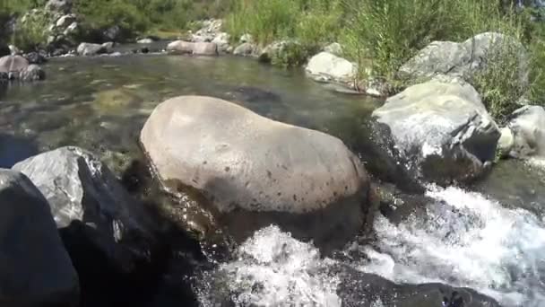 Vattenfall Och Flod Flöde Vid Park — Stockvideo