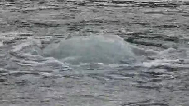 Bir Nehir Şelale Kabarcıklar — Stok video
