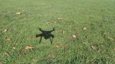 Bir dron bir park gölgesi 