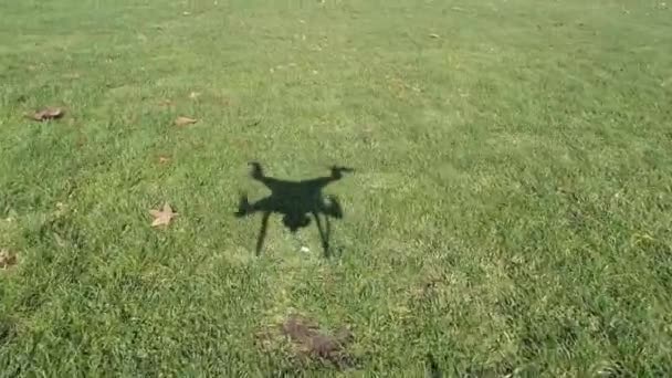 Schaduw Van Een Drone Een Park — Stockvideo