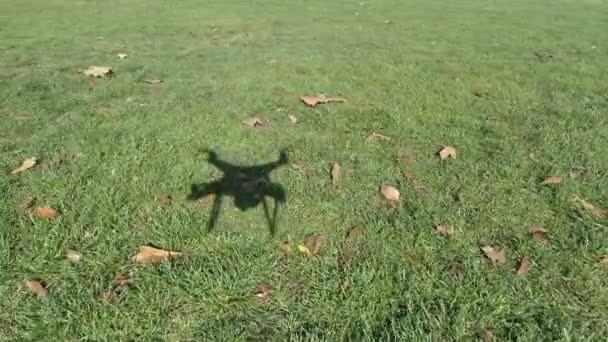 公園でドローンの影 — ストック動画