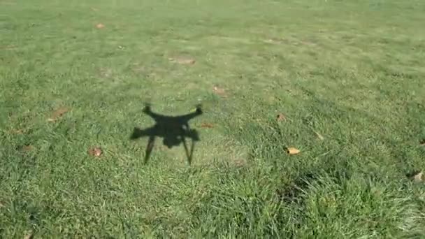 Ombra Drone Parco — Video Stock
