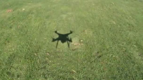 Ombra Drone Parco — Video Stock