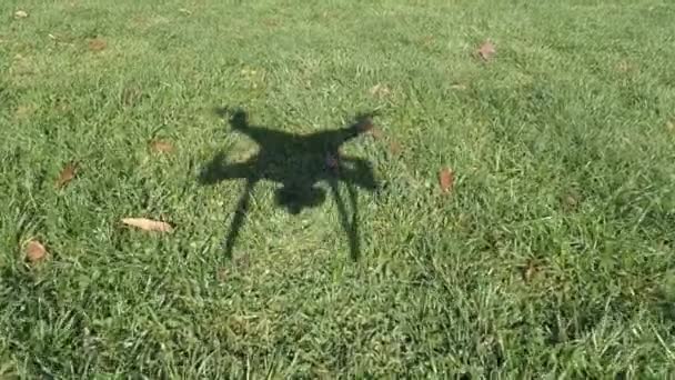 Σκιά Του Ένα Drone Ένα Πάρκο — Αρχείο Βίντεο