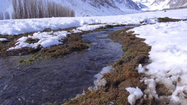 Dağ kar ve Şili'deki doğa manzara