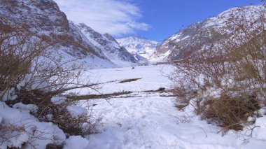 Dağ kar ve Şili'deki doğa manzara