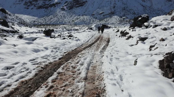 Dağ kar ve Şili'deki doğa manzara