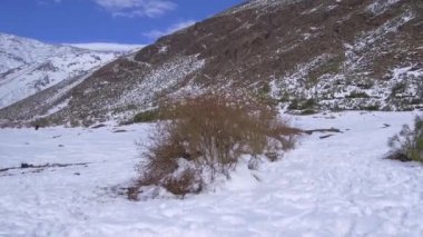 Manzara, dağ kar ve doğa Santiago, Chile