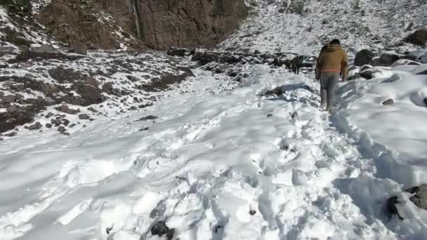 Paisaje Nieve Montaña Naturaleza Santiago Chile — Vídeo de stock