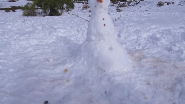 Paisagem Neve Montanha Natureza Santiago Chile — Vídeo de Stock