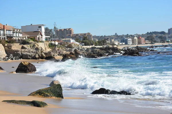 landscape of beach and wave