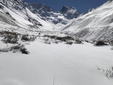 manzara, dağ kar ve doğa