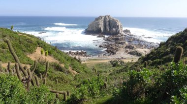 Manzara, plaj, kayalık uçurum, deniz ve doğa