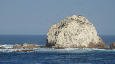 Manzara, plaj, kayalık uçurum, deniz ve doğa
