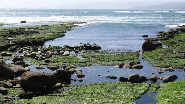 Paysage Plage Falaise Rocheuse Bord Mer Nature — Photo