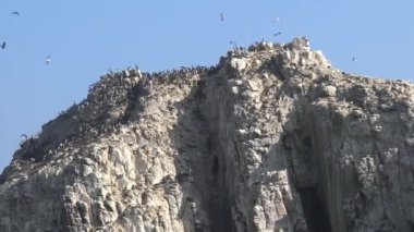 Manzara, deniz ve kayalık plaj