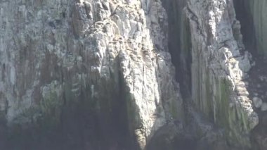 Manzara, deniz ve kayalık plaj