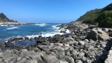 Manzara, deniz ve kayalık plaj