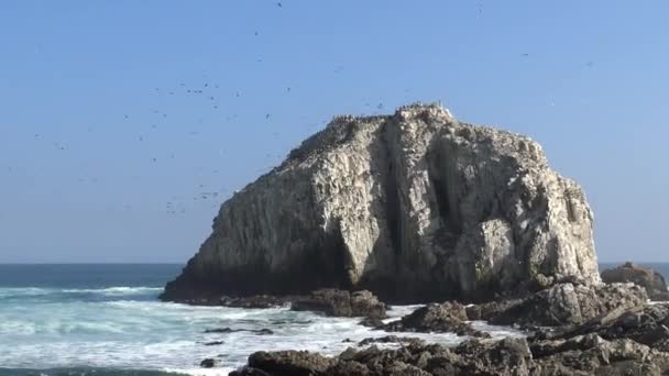 Paisagem Litoral Praia Rochosa — Vídeo de Stock