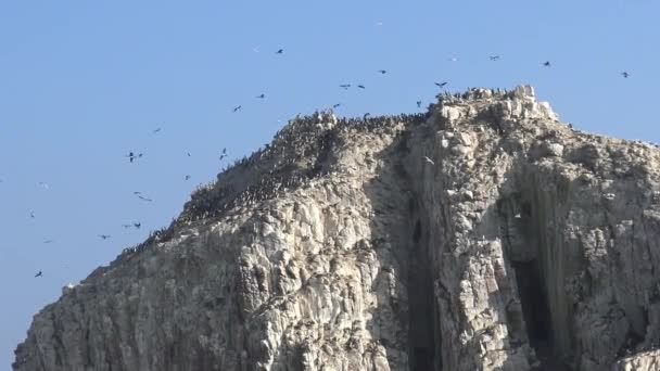 Paisagem Litoral Praia Rochosa — Vídeo de Stock