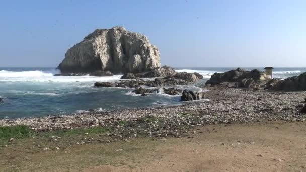 Paisaje Playa Playa Rocosa — Vídeo de stock