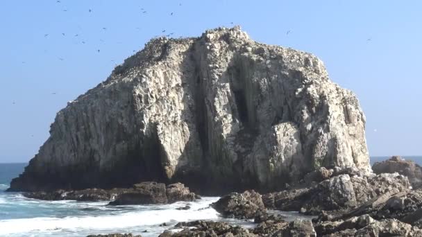 Landschap Zee Rotsachtige Strand — Stockvideo