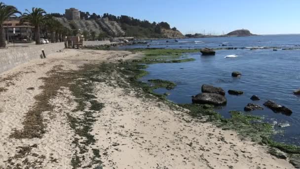 Landschap Zee Rotsachtige Strand — Stockvideo