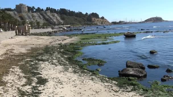 海滨和岩石海滩 — 图库视频影像