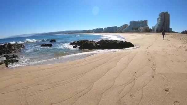 Paysage Bord Mer Plage Rochers — Video