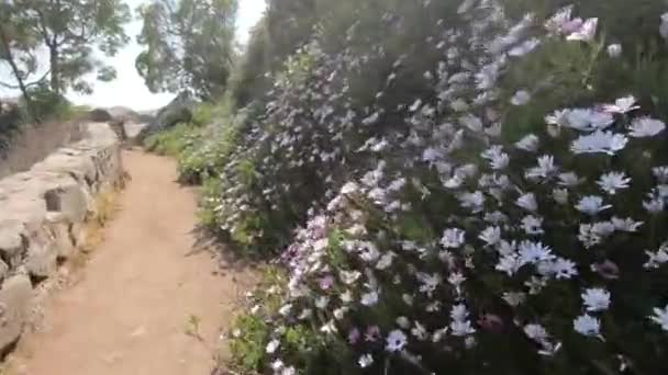 Landschap Zee Rotsachtige Strand — Stockvideo