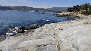 Pelikan ve bir plajda martıları