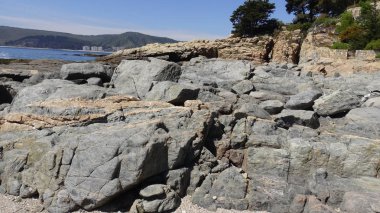 Manzara, kayalık plaj ve sahil