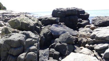 Manzara, kayalık plaj ve sahil