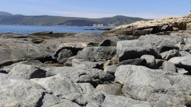 Manzara, kayalık plaj ve sahil