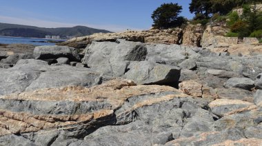 Manzara, kayalık plaj ve sahil