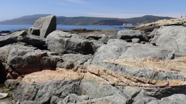 Manzara, kayalık plaj ve sahil