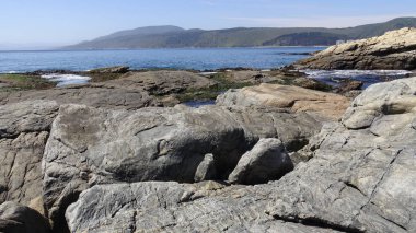 Manzara, kayalık plaj ve sahil