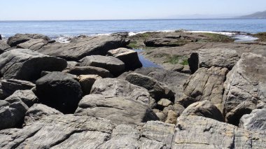 Manzara, kayalık plaj ve sahil