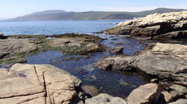 Manzara, kayalık plaj ve sahil